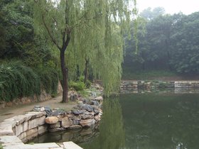 Day #4: Another scene at the Summer Palace