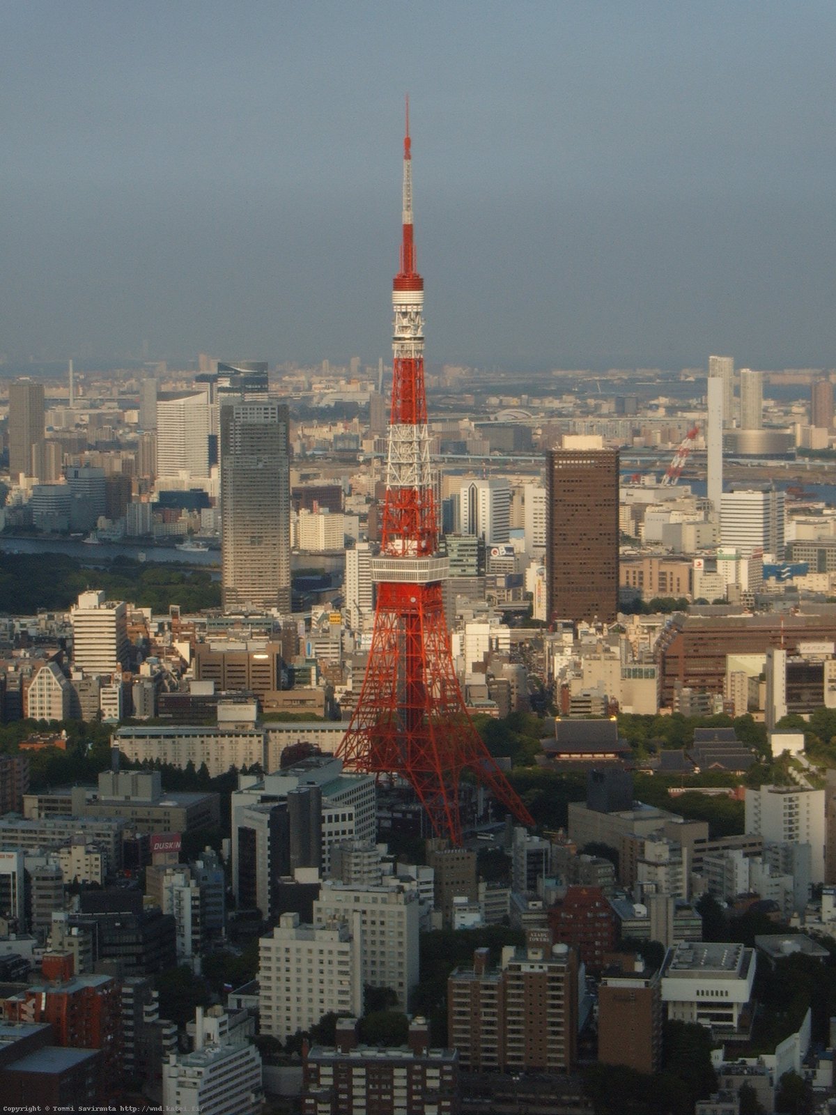 Day #2: World-famous Tokyo Tower