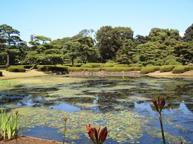 Day #4: Tokyo Imperial Palace East Gardens