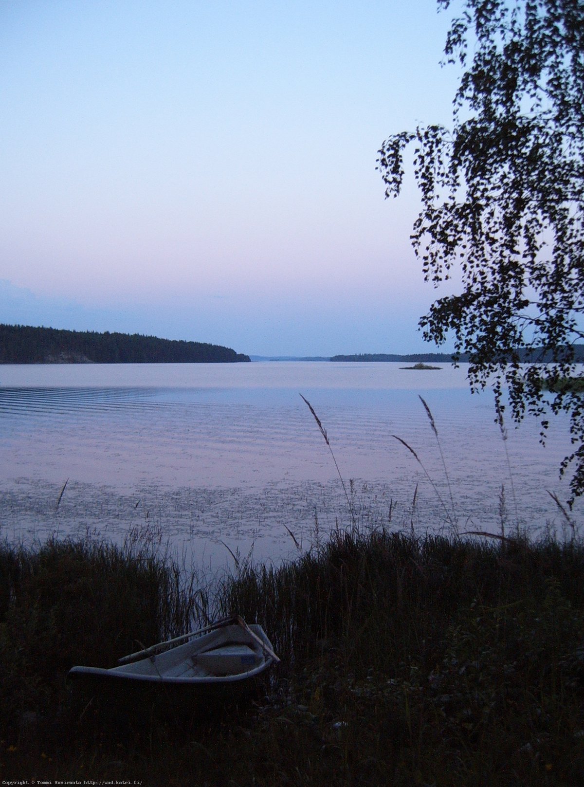 Shores of Pielinen