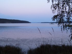 Shores of Pielinen