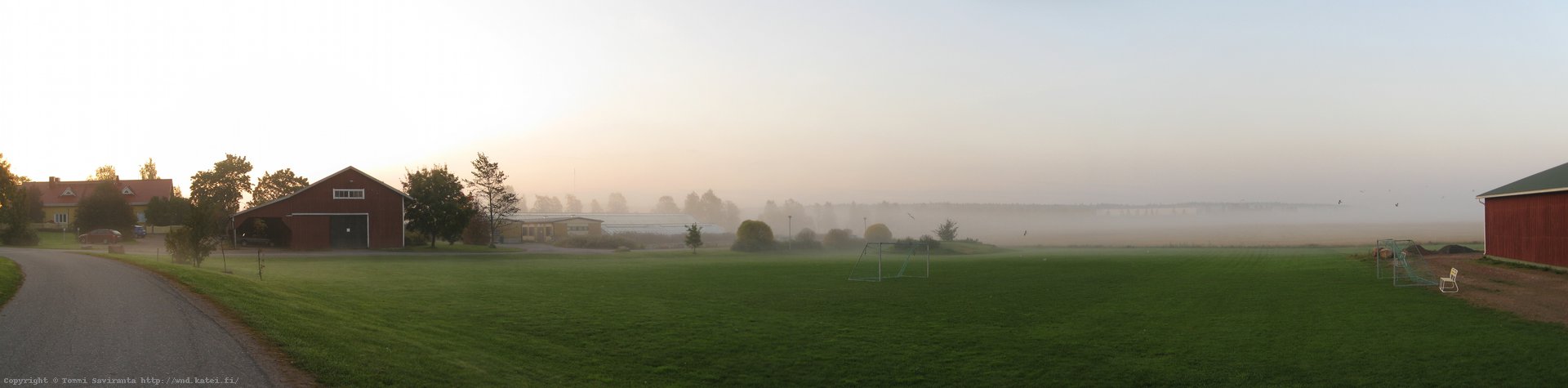 Morning mist #2