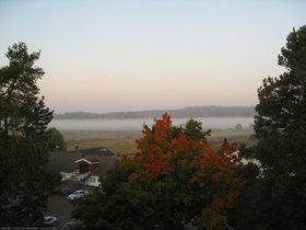Morning mist #1