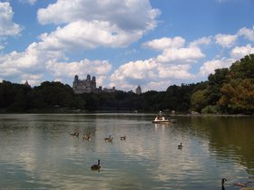 Day #4: The Lake, Central Park