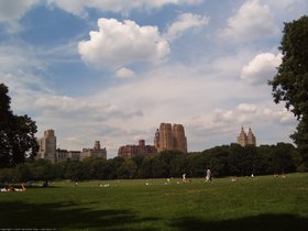 Day #8: Sheep Meadow at Central Park